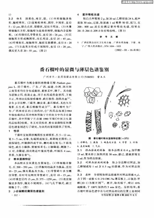 番石榴叶的显微与薄层色谱鉴别