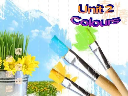 新牛津译林版九年级英语上册Unit2 Colours Integrated skills 公开课课件
