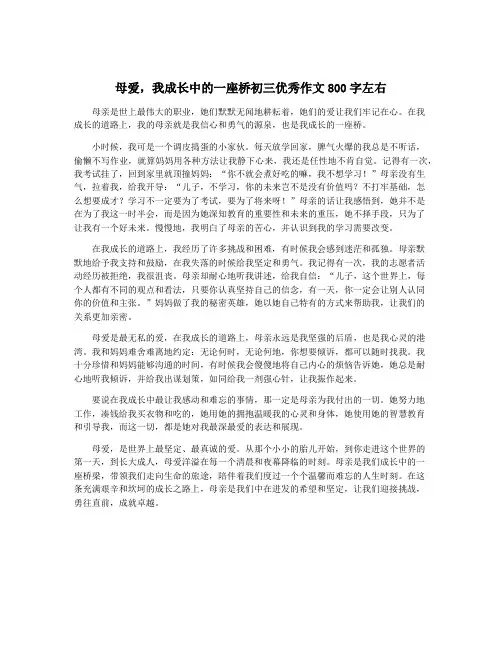 母爱,我成长中的一座桥初三优秀作文800字左右