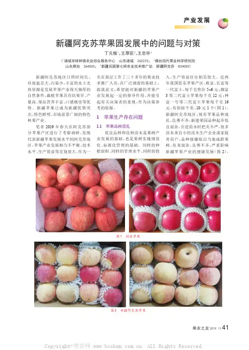 新疆阿克苏苹果园发展中的问题与对策