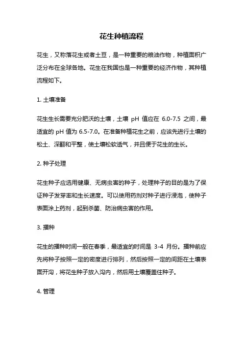 花生种植流程
