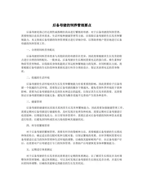 后备母猪的饲养管理要点