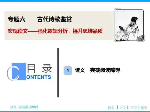 2020-2021新课标高考语文二轮抢分点古代诗歌鉴赏答题技巧 宏观读诗六个关注读懂诗歌(13张)