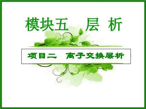 离子交换层析ppt课件 (2)