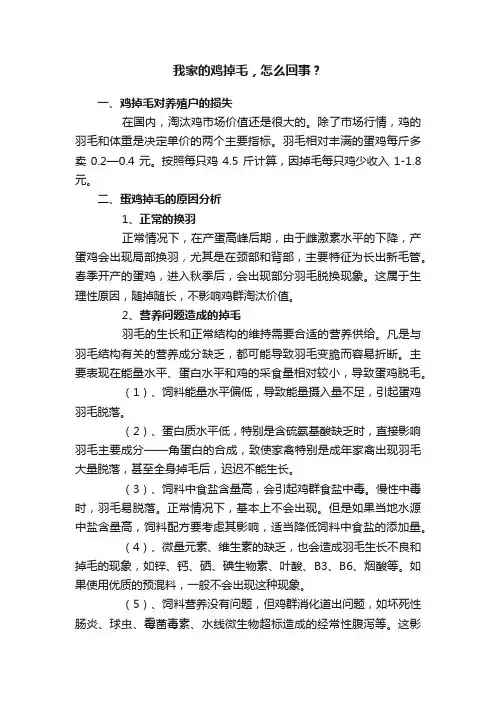 我家的鸡掉毛，怎么回事？