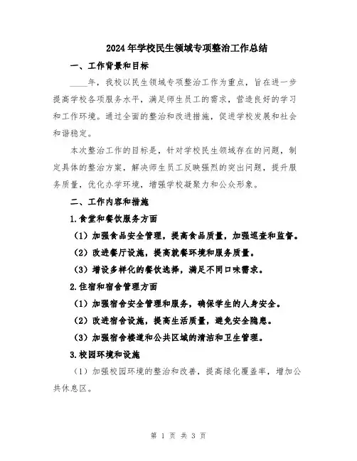 2024年学校民生领域专项整治工作总结