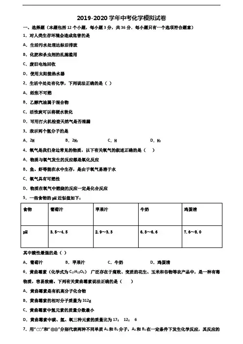 宁波市名校2020年中考化学达标检测试题