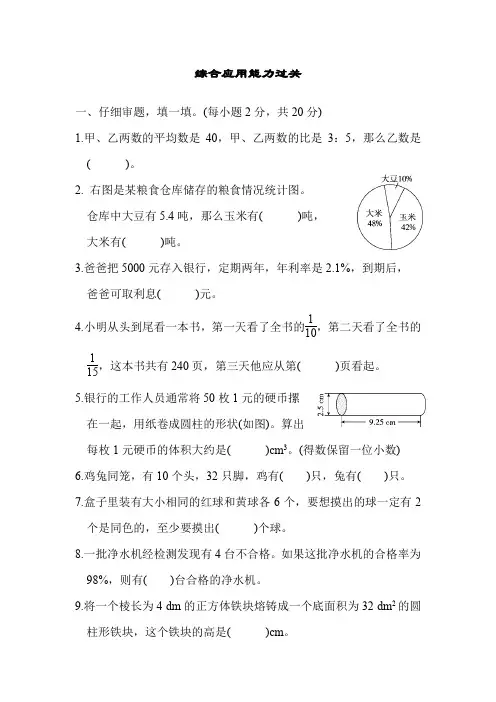 人教版六年级数学下册期末专项复习综合应用能力过关测试卷