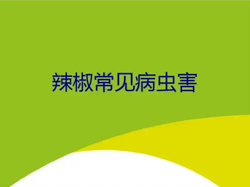辣椒常见病虫害PPT(完整版)