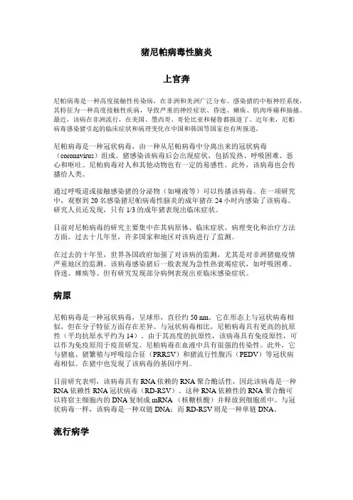 猪尼帕病毒性脑炎