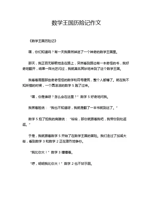 数学王国历险记作文