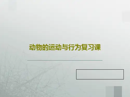 动物的运动与行为复习课共24页文档