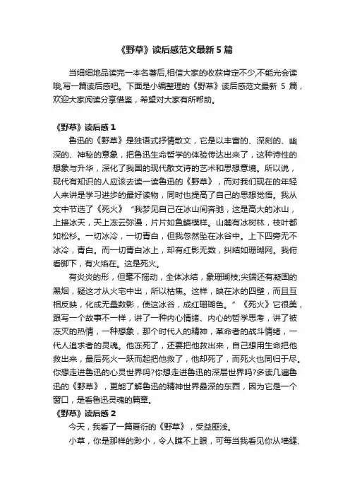 《野草》读后感范文最新5篇