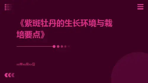 紫斑牡丹的生长环境与栽培要点