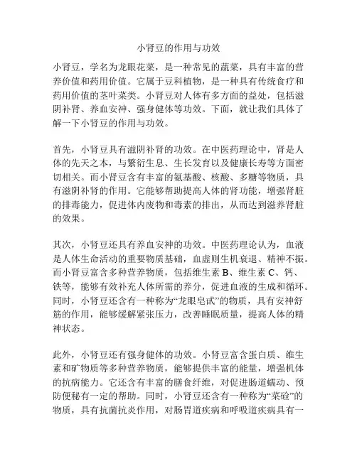 小肾豆的作用与功效
