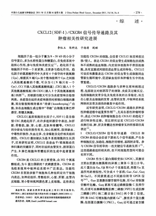CXCL12(SDF-1)／CXCR4信号传导通路及其肿瘤相关性研究进展