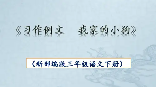 《习作例文 我家的小狗》PPT课件