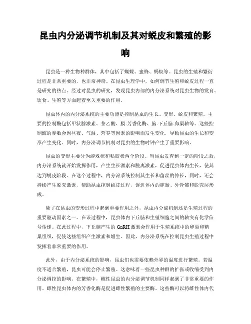 昆虫内分泌调节机制及其对蜕皮和繁殖的影响