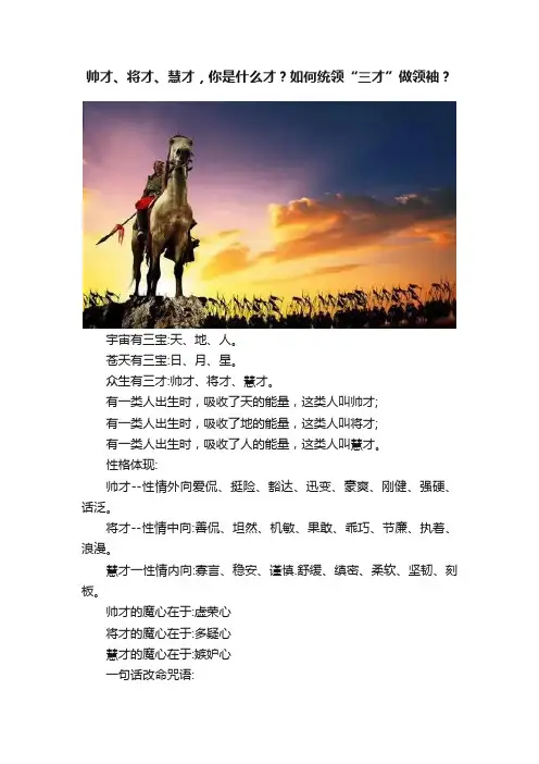帅才、将才、慧才，你是什么才？如何统领“三才”做领袖？