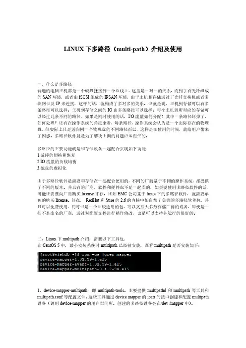 LINUX下多路径(multi-path)介绍及使用