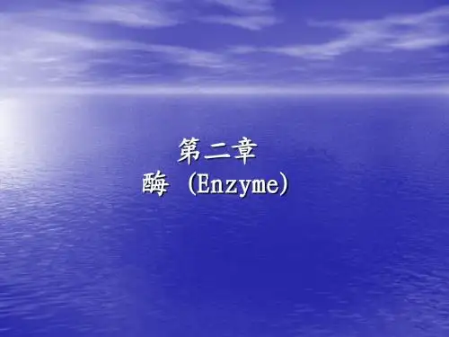 Chapter 2 酶 section1