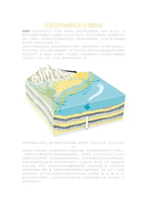 沉积岩的成因及分类特征