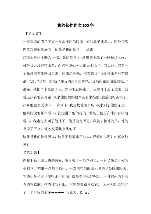 我的伙伴作文300字