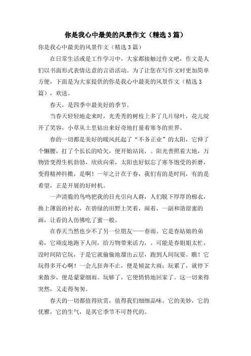 你是我心中最美的风景作文(3篇)