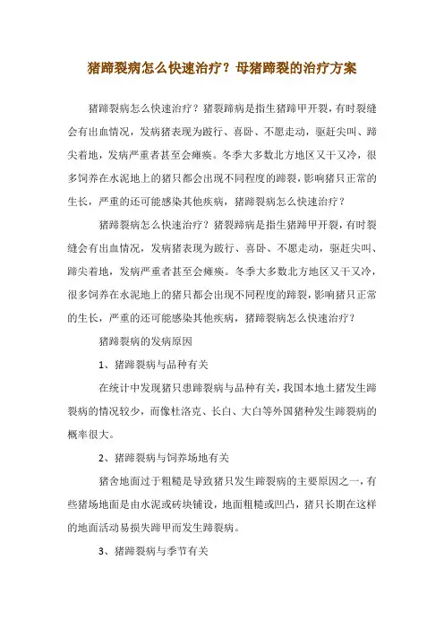 猪蹄裂病怎么快速治疗？母猪蹄裂的--治疗方案