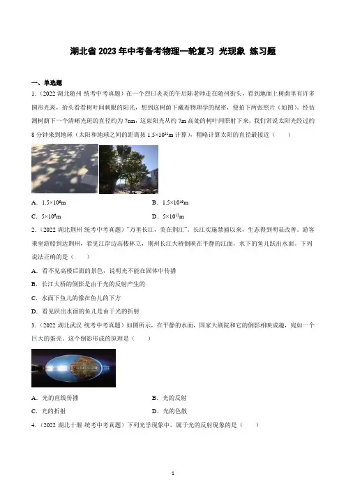 2023年湖北省中考备考物理一轮复习 -------  光现象 练习题