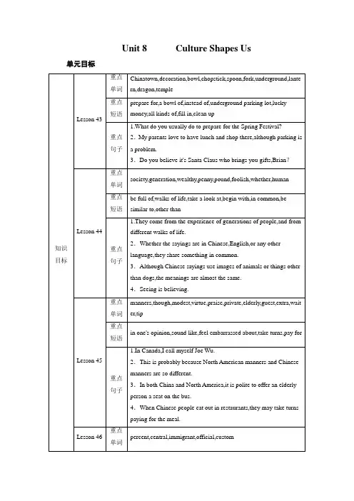 冀教版九年级英语下册教案Unit 8 Culture Shapes Us第一课时 Lesson 43