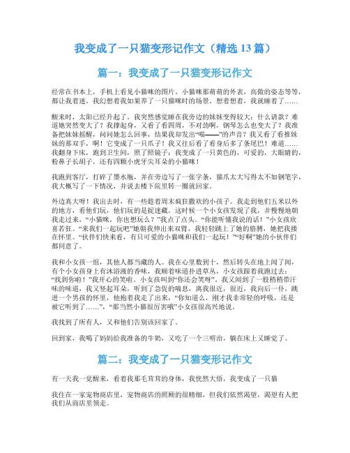 我变成了一只猫变形记作文(精选13篇)