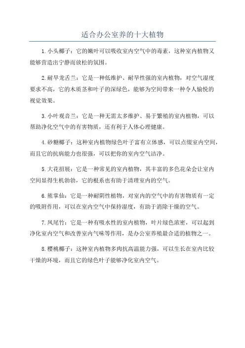 适合办公室养的十大植物