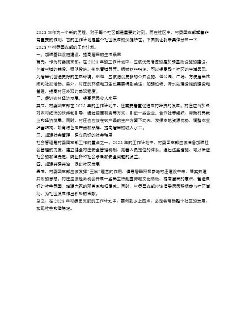 2023村委团支部工作计划
