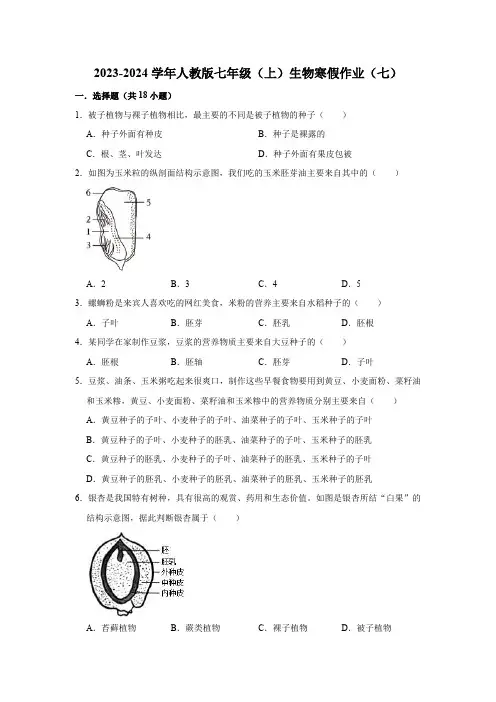 2023-2024学年人教版七年级(上)生物寒假作业(七)(word版含解析)