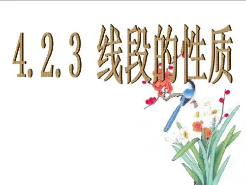 4.2.3线段的性质