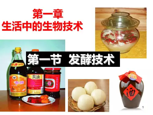 第七单元第一章第一节 发酵技术 课件-济南版八年级生物下册