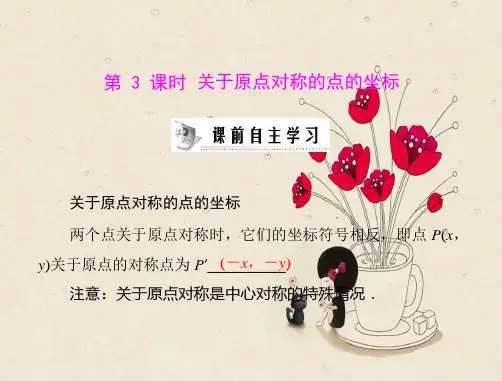 关于原点对称的点的坐标PPT课件