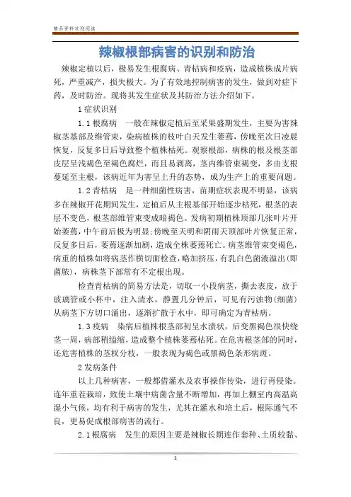 辣椒根部病害的识别和防治