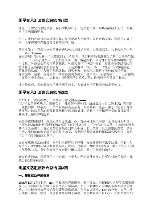 明星文艺汇演体会总结(热门5篇)