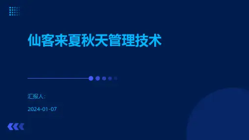 仙客来夏秋天管理技术
