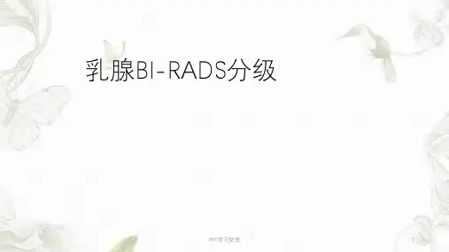 乳腺BI-RADS分级ppt课件