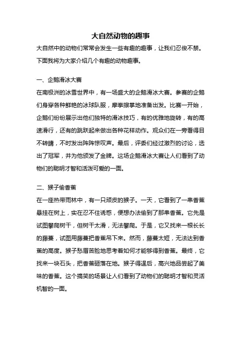 大自然动物的趣事