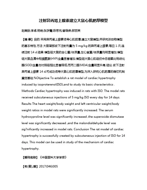 注射异丙肾上腺素建立大鼠心肌肥厚模型