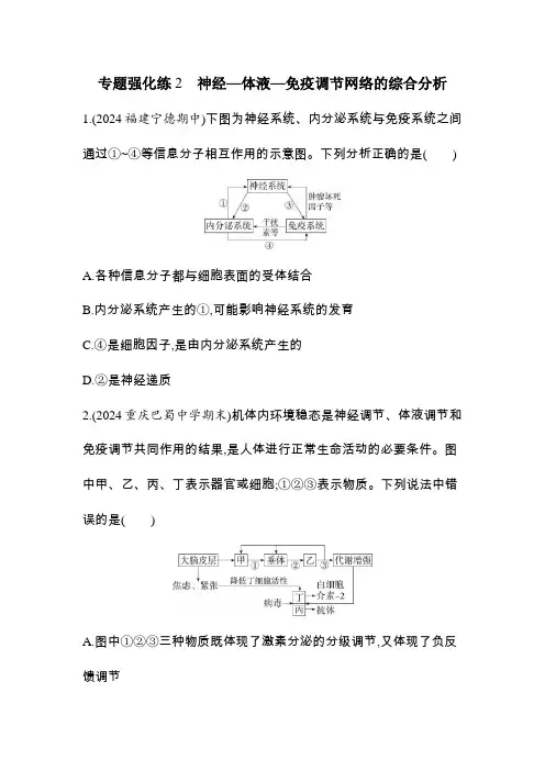 高中生物选择性必修1稳态与调节第4章免疫调节专题强化练2神经—体液—免疫调节网络的综合分析含答案