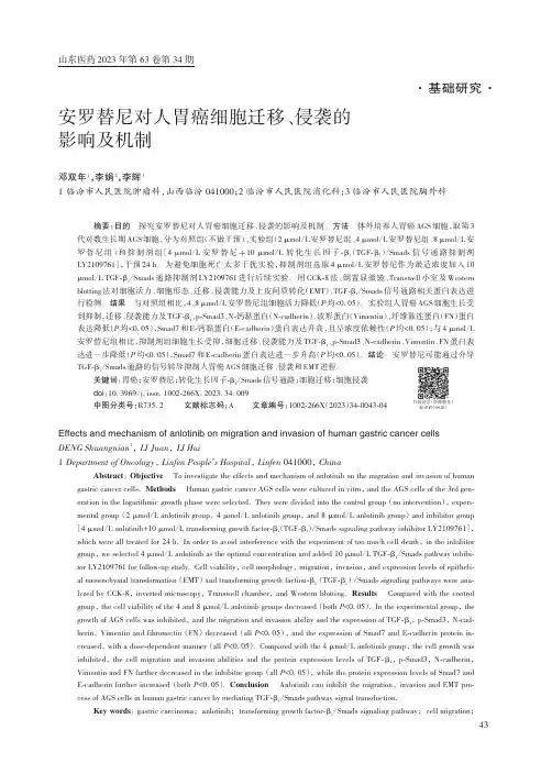 安罗替尼对人胃癌细胞迁移、侵袭的影响及机制