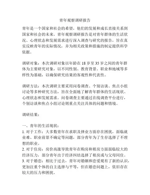 青年观察调研报告