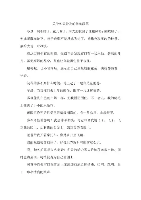 关于冬天景物的优美段落-作文