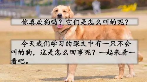 部编人教版三年级语文上册 14 不会叫的狗(创新课件)