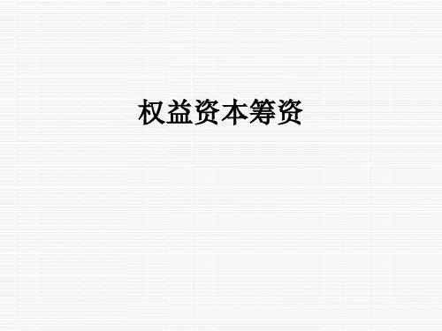 权益资本筹资